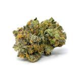 Sun Peaks Cultivation - Grease Monkey - AAAA