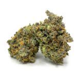 Sun Peaks Cultivation - Grease Monkey - AAAA