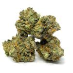 Sun Peaks Cultivation - Grease Monkey - AAAA