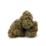 Italian Ice - Smalls