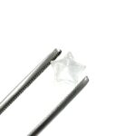 Glass Star Screens - 5 Pack