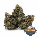 Sun Peaks Cultivation - Bubba Kush