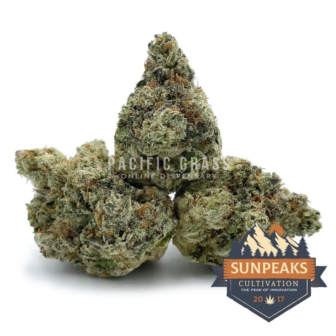 Sun Peaks Cultivation - Cherry Pie