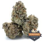 Sun Peaks Cultivation - Jet Fuel Gelato