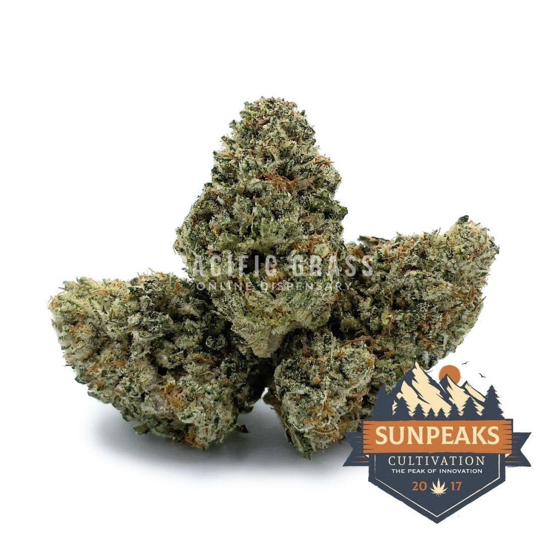 Sun Peaks Cultivation - Skunk #1