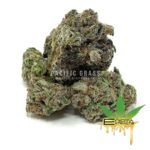 Enigma Extracts - Eleven Roses - AAAA