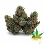 Enigma Extracts - Goudaberry - Smalls