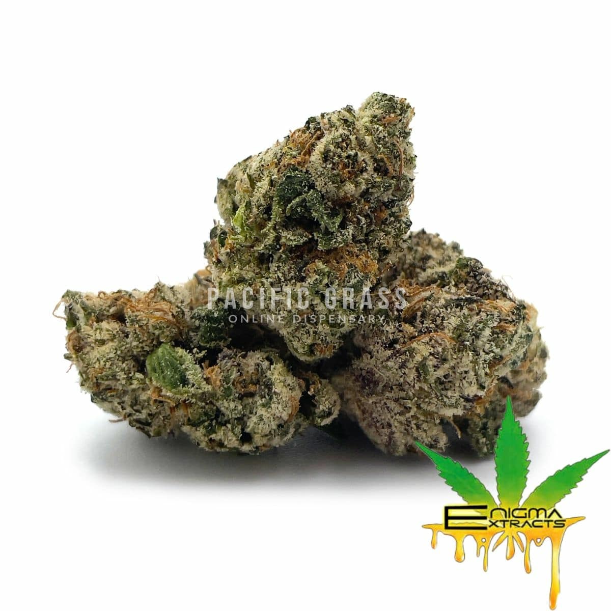 Enigma Extracts - Project Z - Smalls