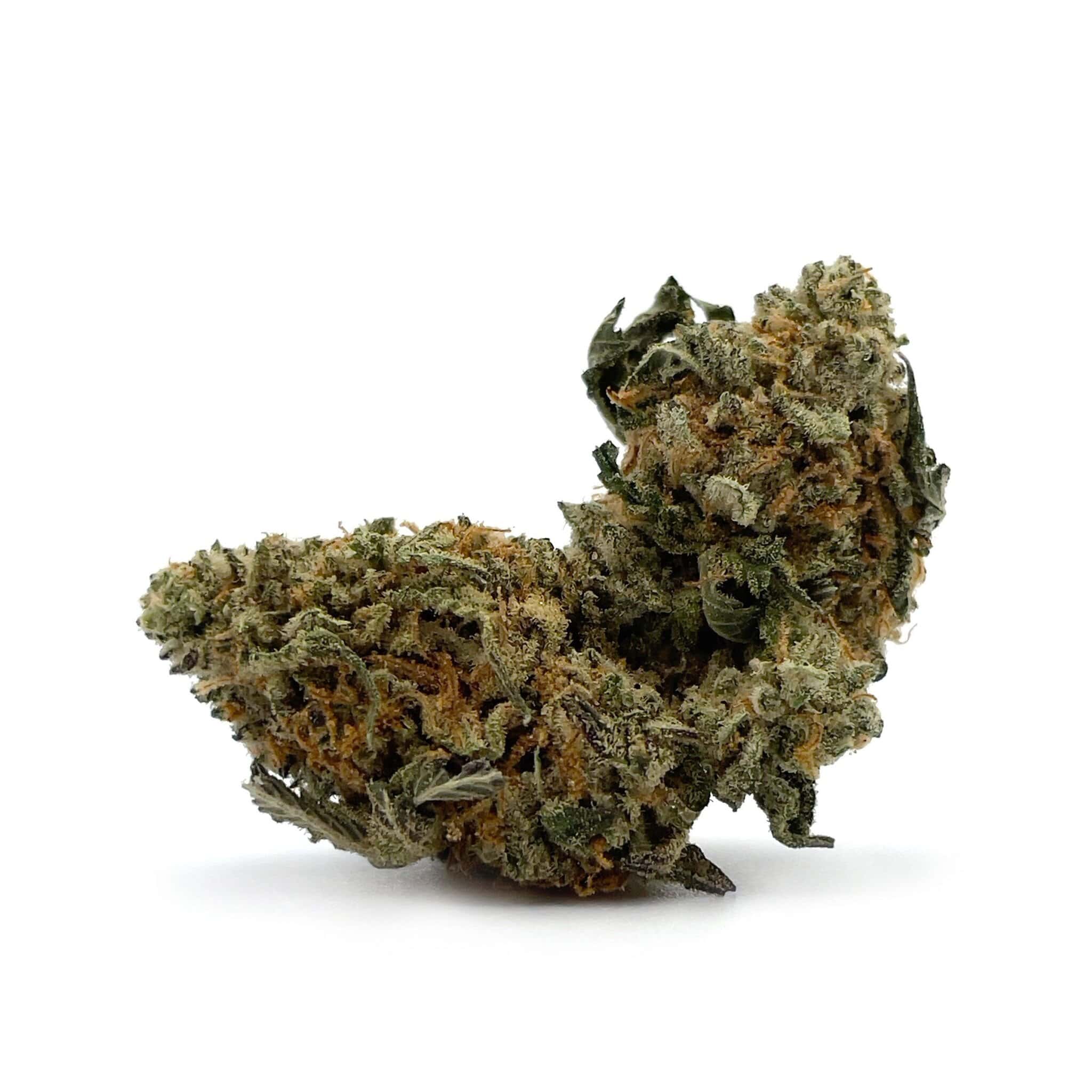 White Rhino - Smalls