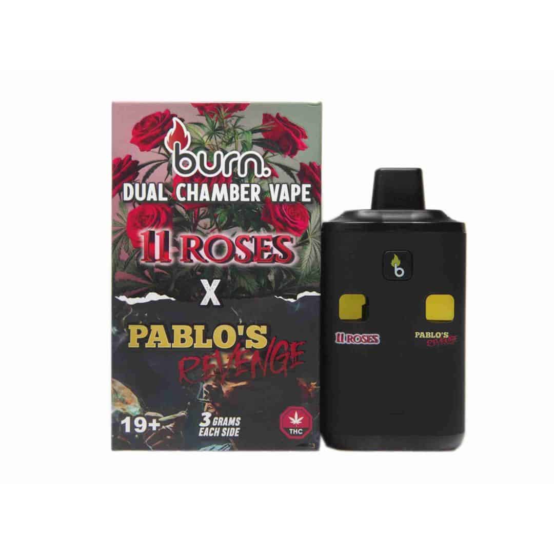 Burn Dual Chamber Disposable Vape – 6G