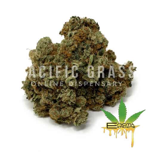 Enigma Extracts - Cali Bubba - AAAA