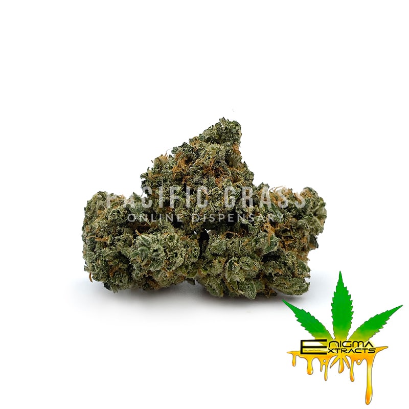 Enigma Extracts - Fruity Pebbles OG x Gelato 33 - Smalls