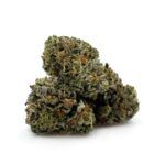 Enigma Extracts - PCP LSO - Smalls