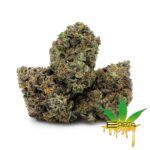 Enigma Extracts - Hindu Kush