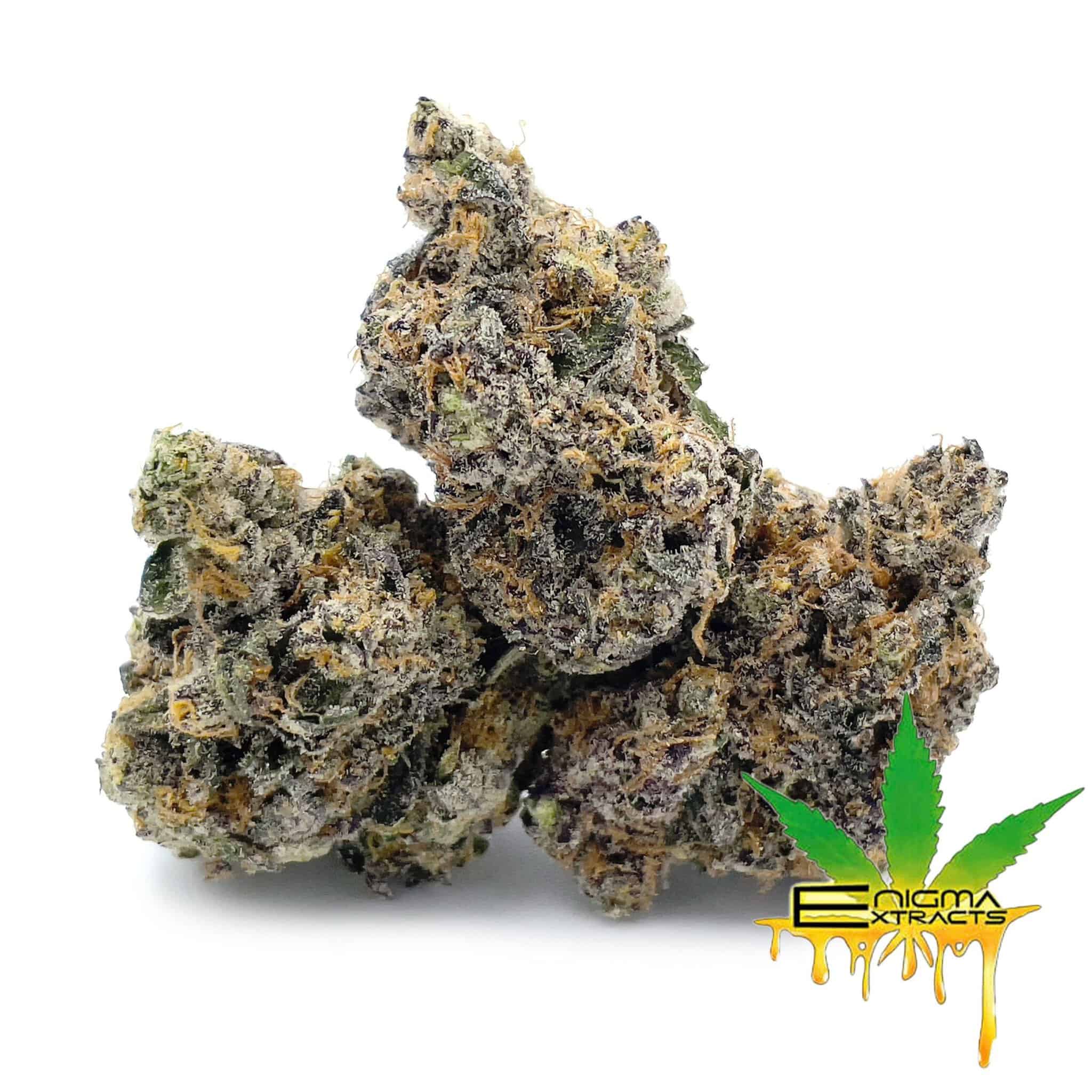 Enigma Extracts - Point Break