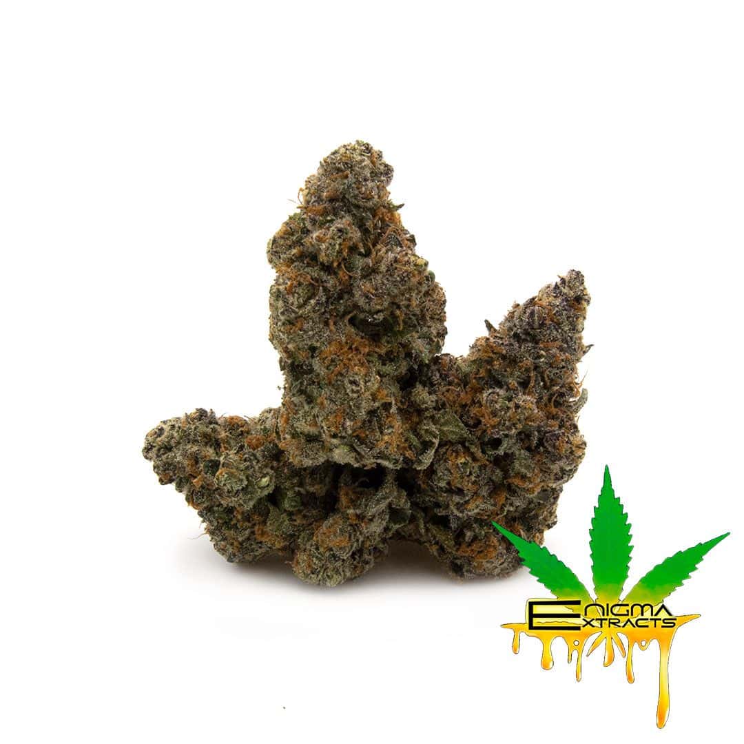 Enigma Extracts - Lemon Cherry Gelato