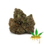 Enigma Extracts MK Ultra