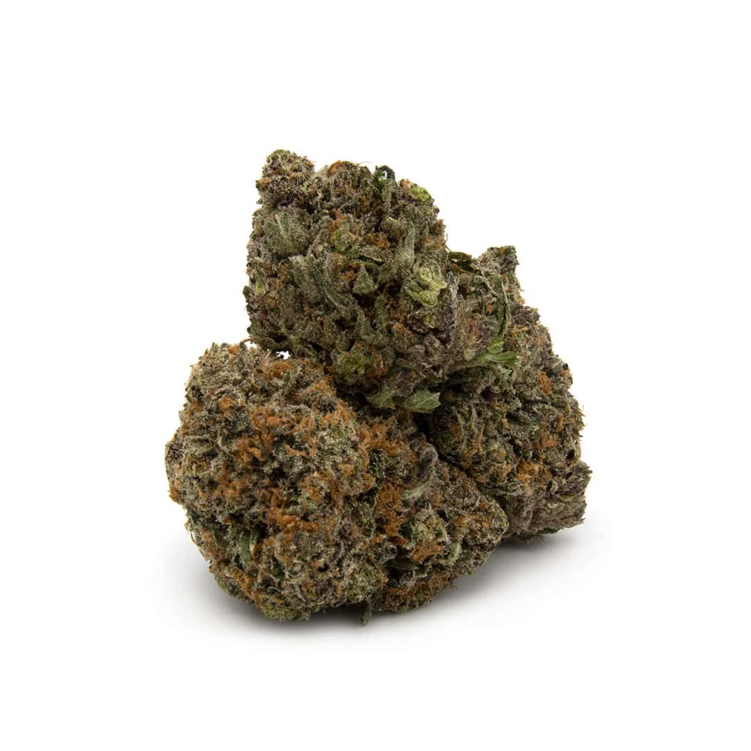 Enigma Extracts MK Ultra