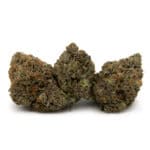 Enigma Extracts MK Ultra