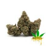 Enigma Extracts - Pink Runtz