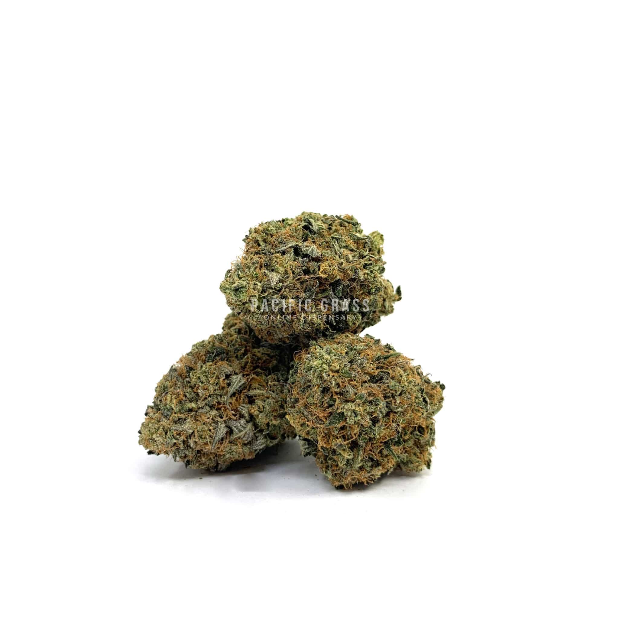 Enigma Extracts - Pre98