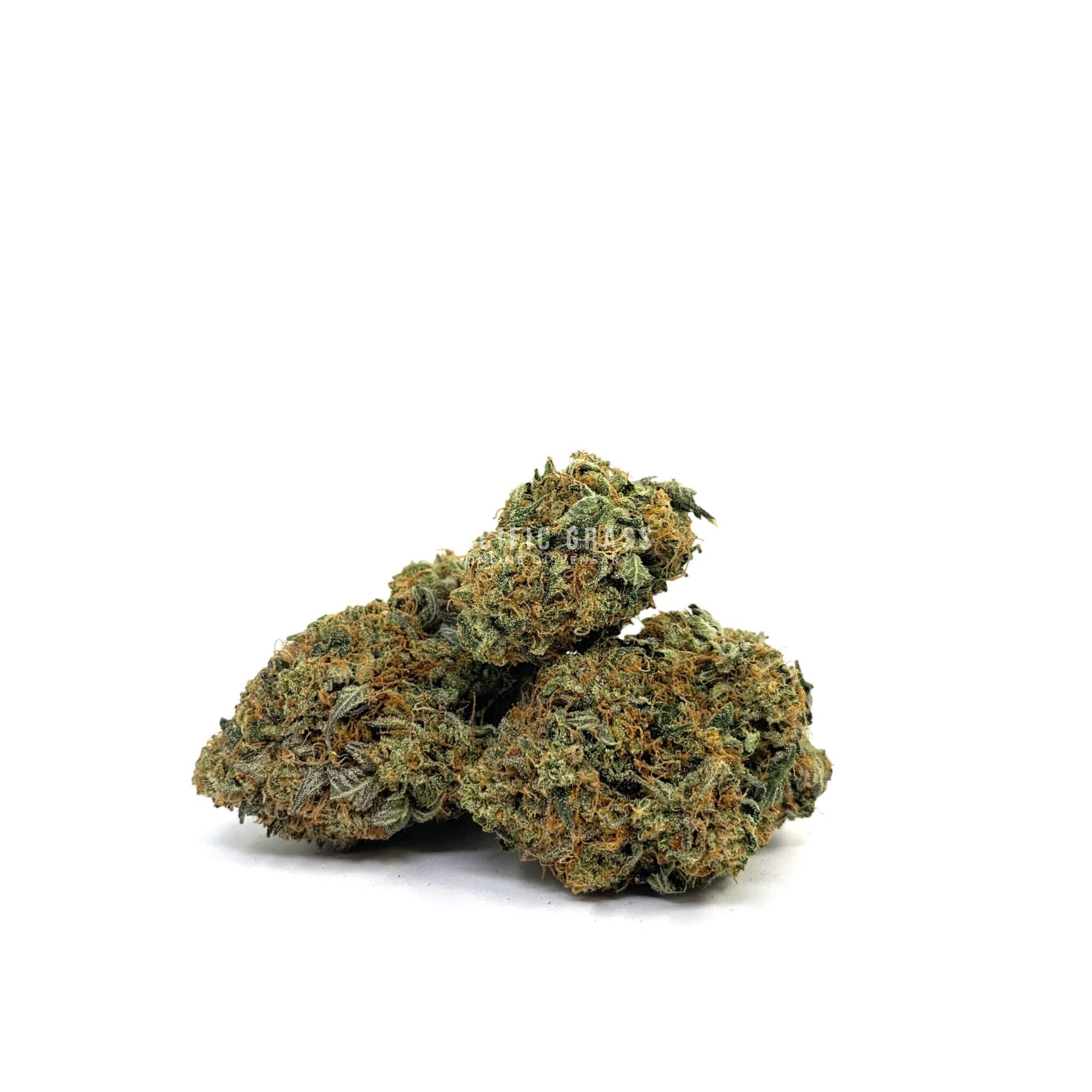 Enigma Extracts - Pre98