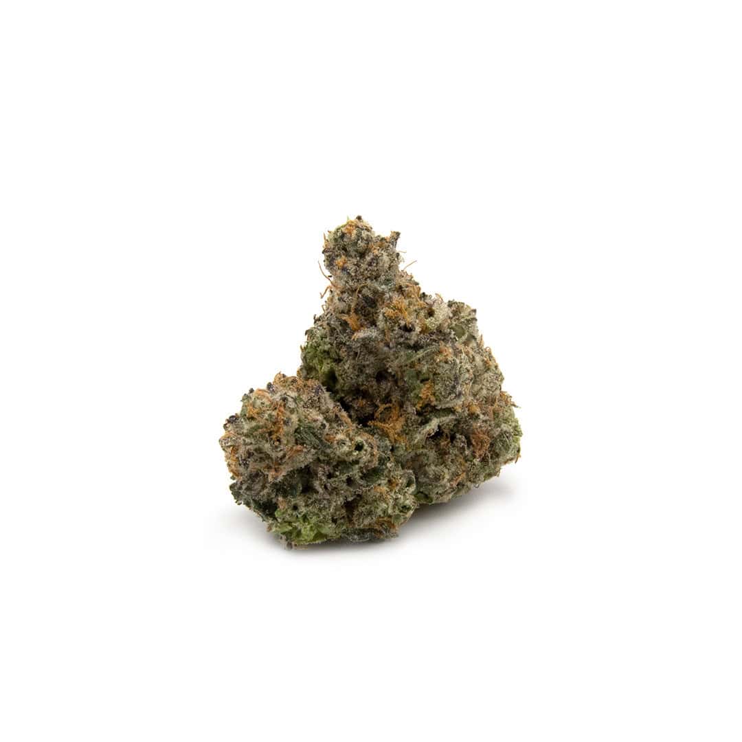 Enigma Extracts - Tramp Stamp - Smalls