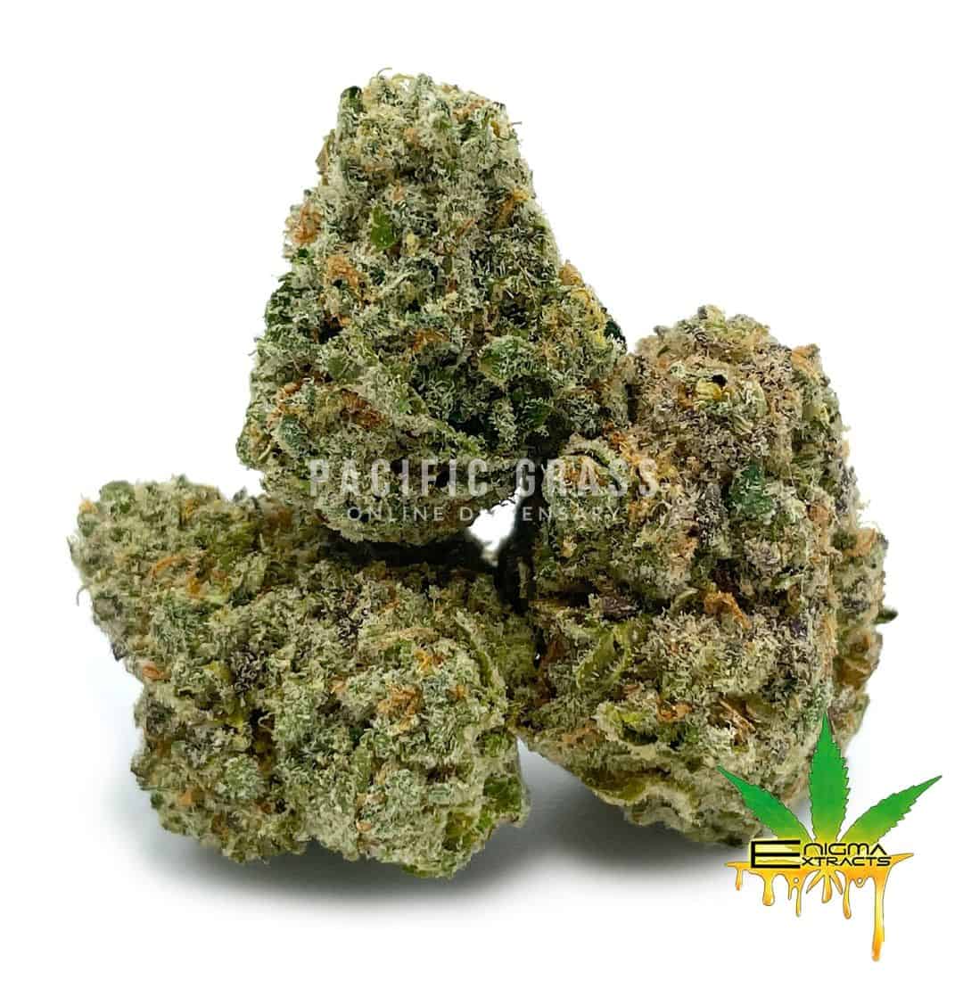 Enigma Extracts - Tina