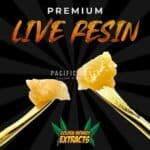 Golden Monkey Extracts - Premium Live Resin