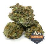 Sun Peaks Cultivation - Grease Monkey - AAAA