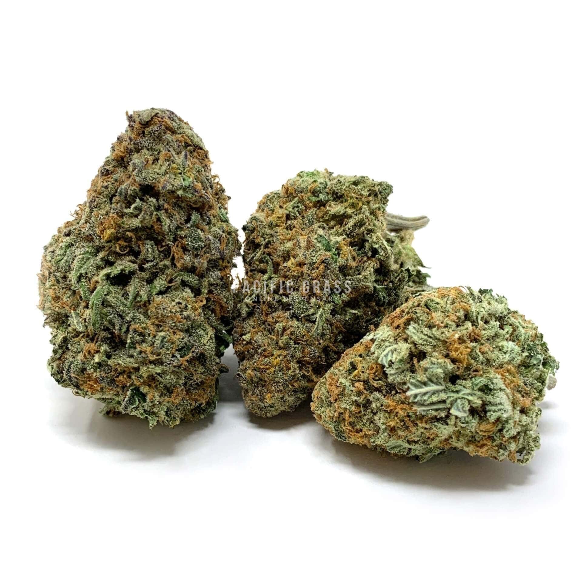 Matanuska Thunder Fuck