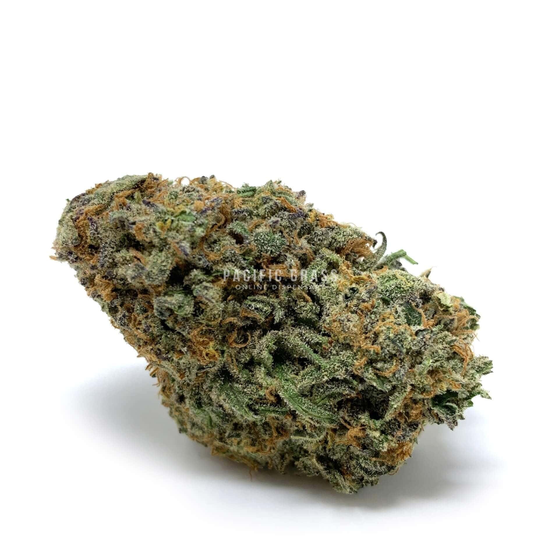 Matanuska Thunder Fuck