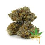 Enigma Extracts - Meat The Cookies - AAAA