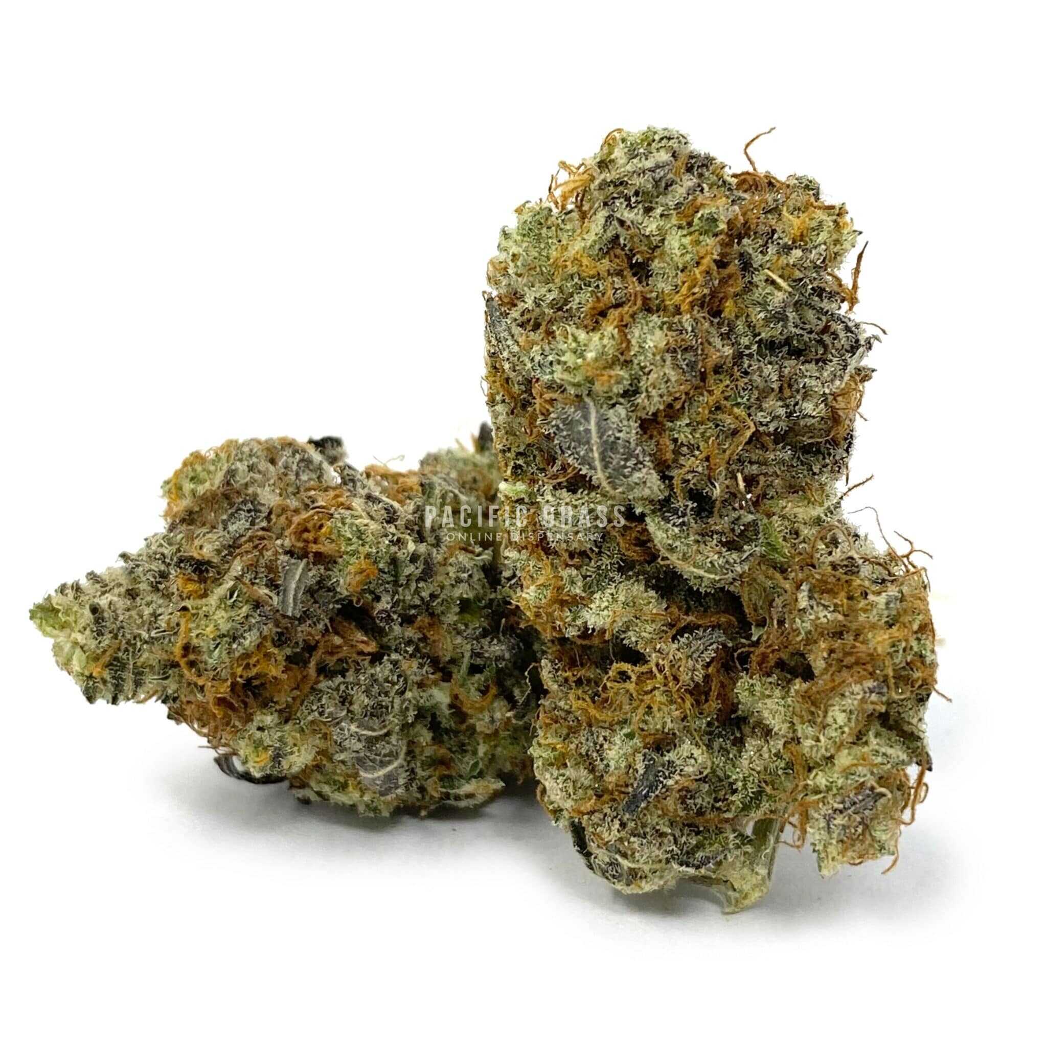 Enigma Extracts - Meat The Cookies - AAAA