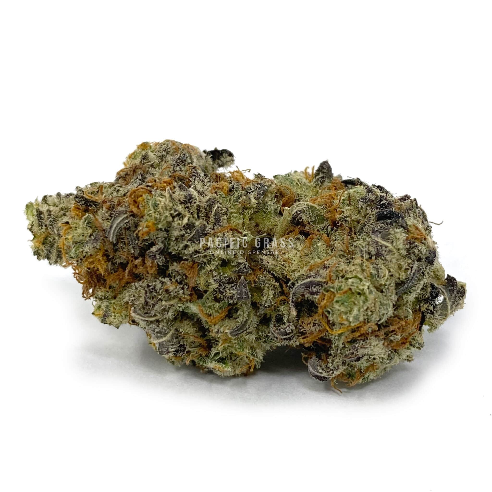 Enigma Extracts - Meat The Cookies - AAAA