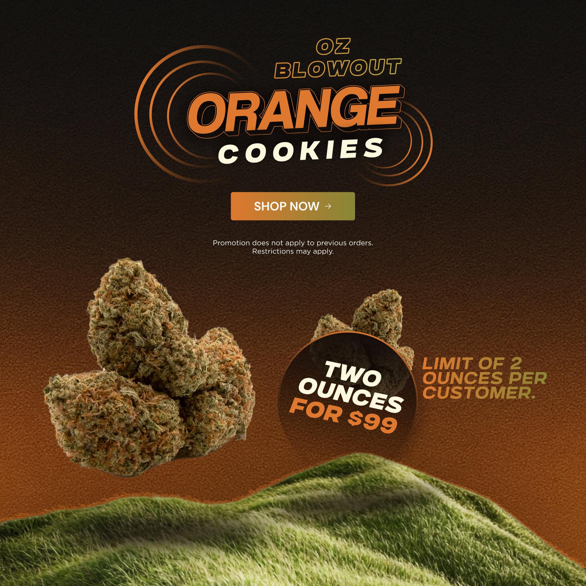 Orange Cookies