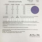 Pacific CBD Tincture - Essential Blend - Natural