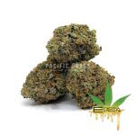 Enigma Extracts - Pre98