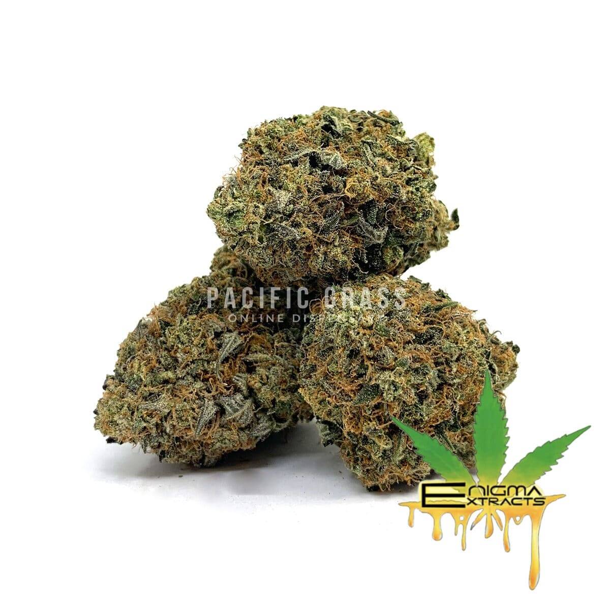 Enigma Extracts – Pre98