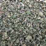 Girl Scout Cookies - Shake