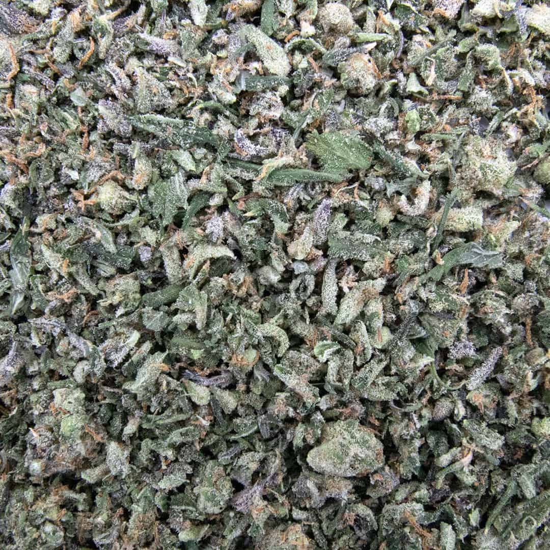 Girl Scout Cookies - Shake