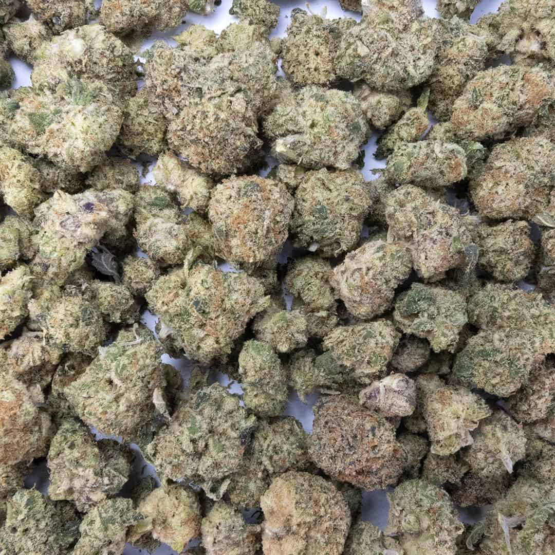 Gorilla Cookies - Smalls