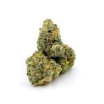 Sun Peaks Cultivation - Mochalope Smalls