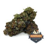 Sun Peaks Cultivation - Blue Fin Tuna