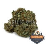 Sun Peaks Cultivation - Black Water