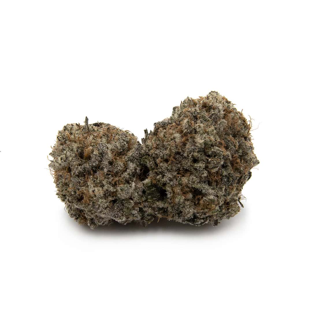 Sun Peaks Cultivation - Butterscotch