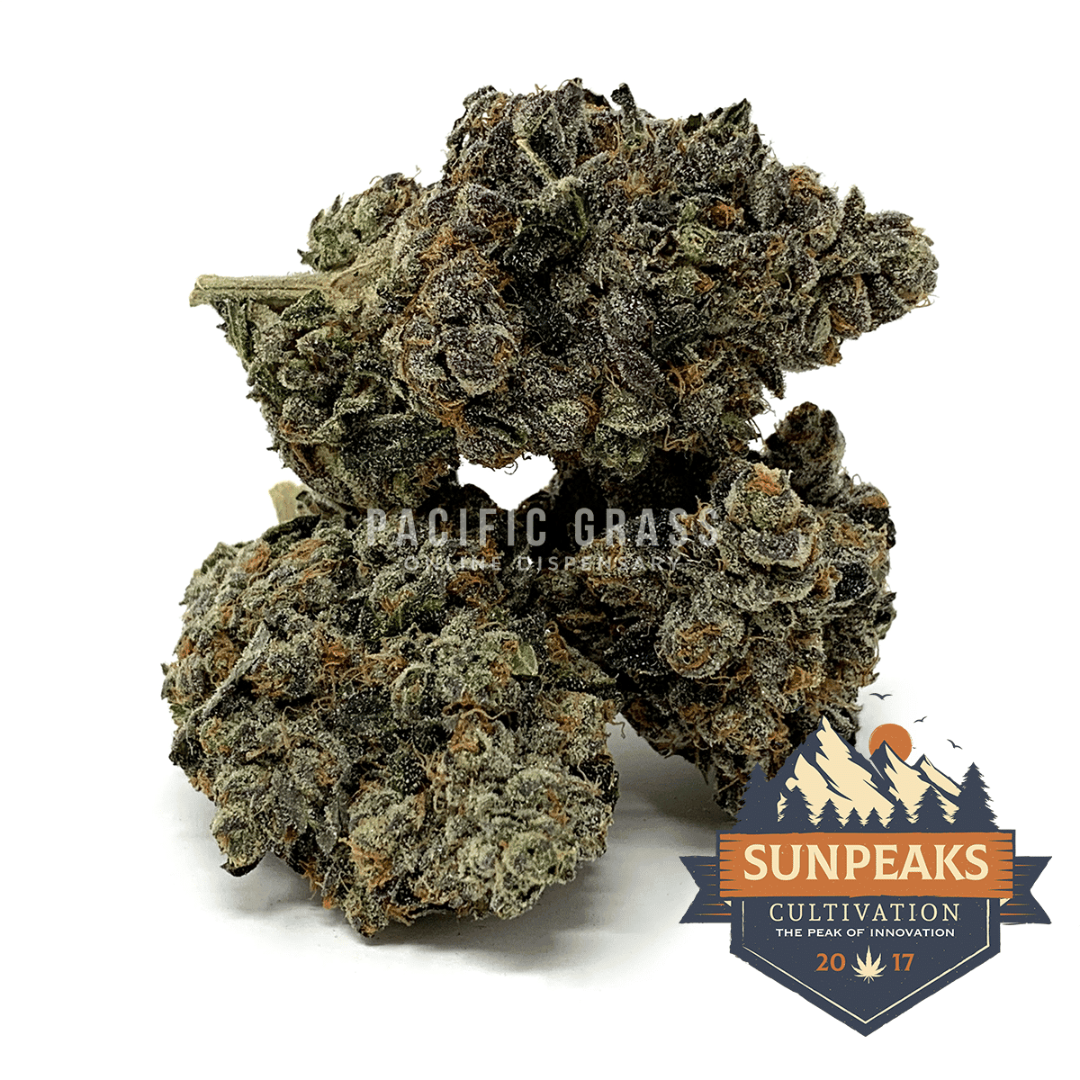 Sun Peaks Cultivation - Chemdog Skunk