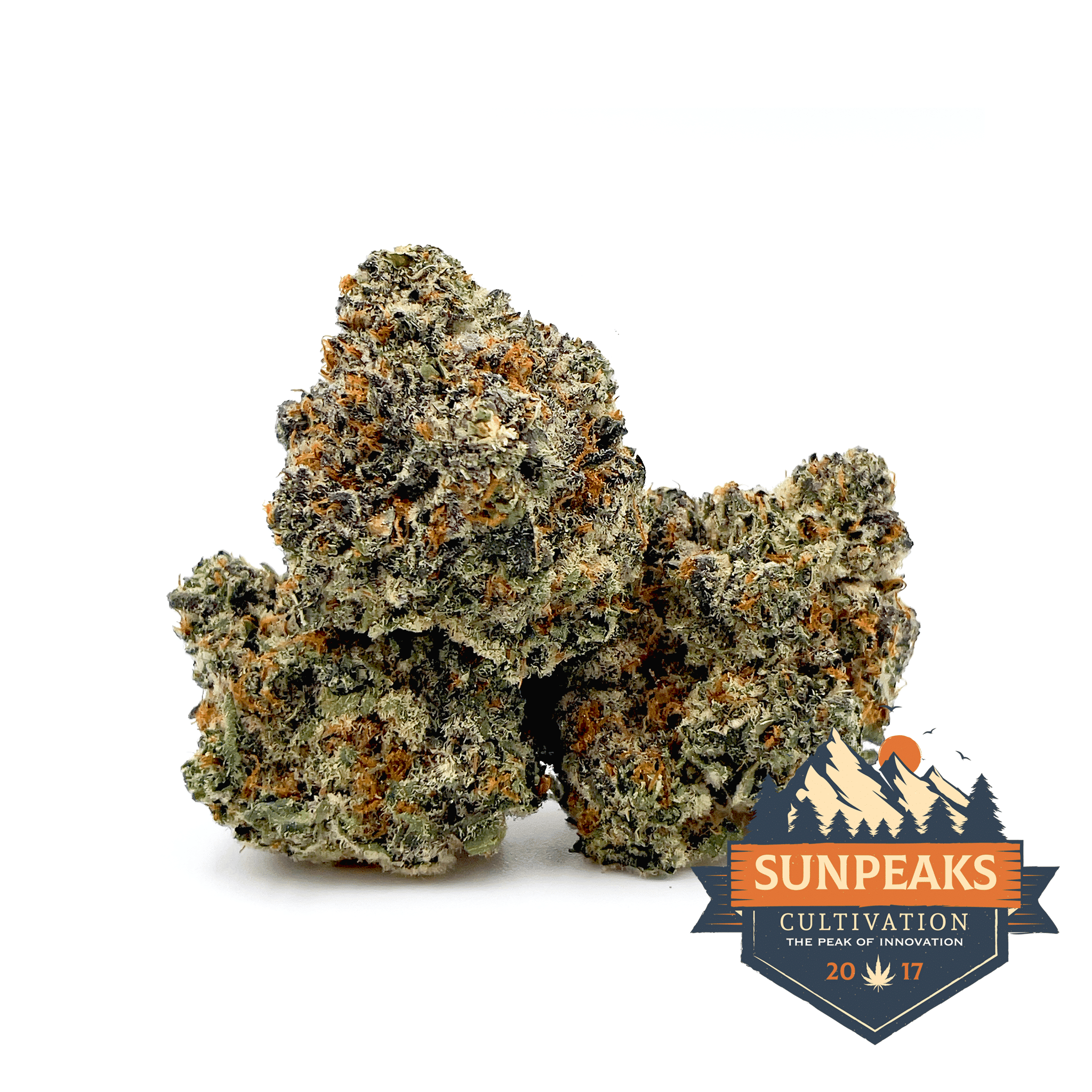 Sun Peaks Cultivation - Cherry Cosmo