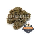 Sun Peaks Cultivation - Dela Haze