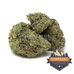 Sun Peaks Cultivation - Gelato